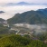 高山绿茶霍山黄芽，袋装礼盒装，厂家直发不满意包退