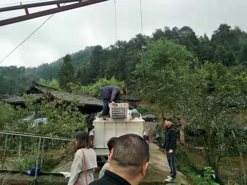 出售大量淡水河鱼，十元一介，买量多有优惠。