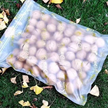 纸皮核桃