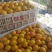 东江湖蜜橘大量上市中