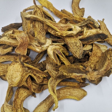 长白山黄牛肝菌黄赖头牛肝菌美味牛肝菌食用菌