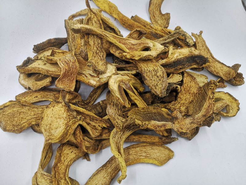 长白山黄牛肝菌黄赖头牛肝菌美味牛肝菌食用菌