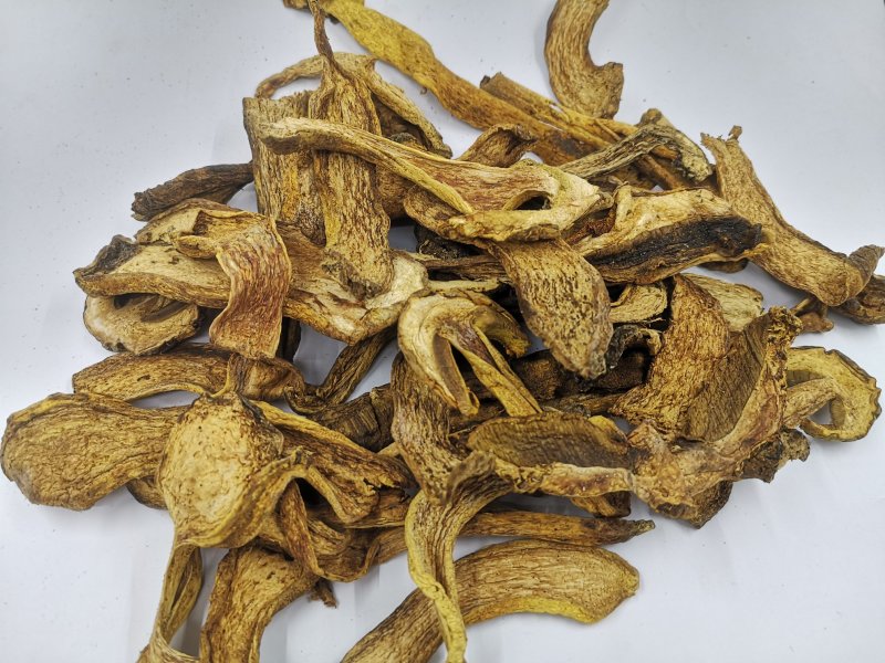 长白山黄牛肝菌黄赖头牛肝菌美味牛肝菌食用菌