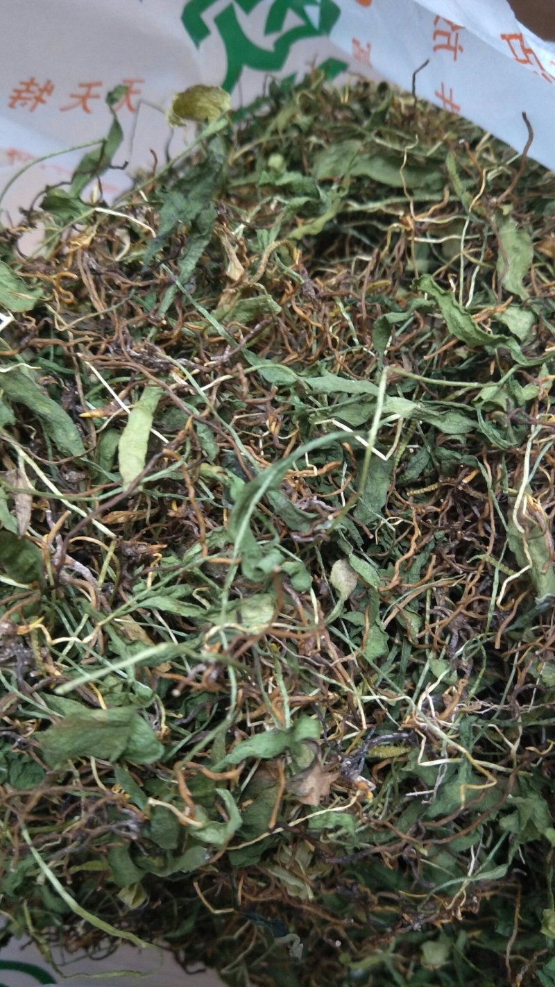 一支箭