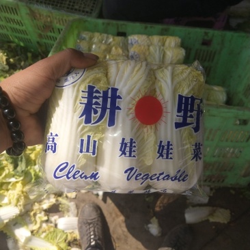 精品娃娃菜
