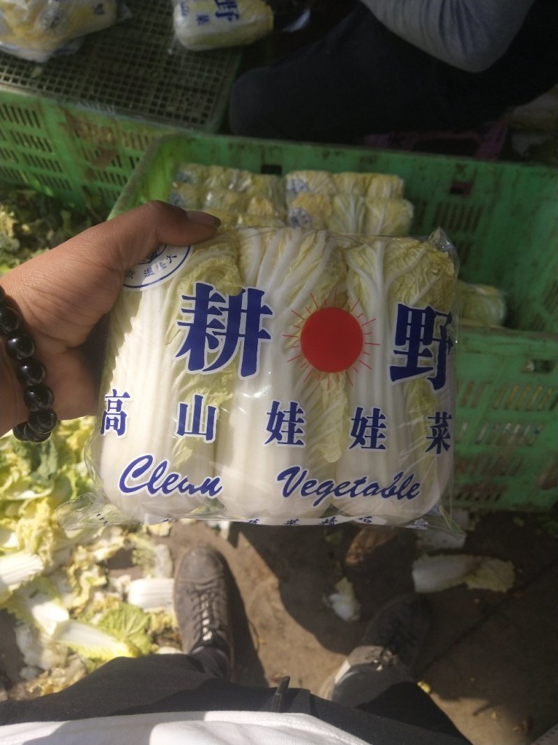 精品娃娃菜