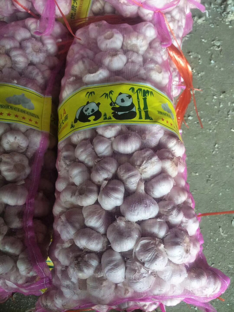 常年供应金乡大蒜太空蒜杂交蒜红皮大蒜加工各种规格大蒜