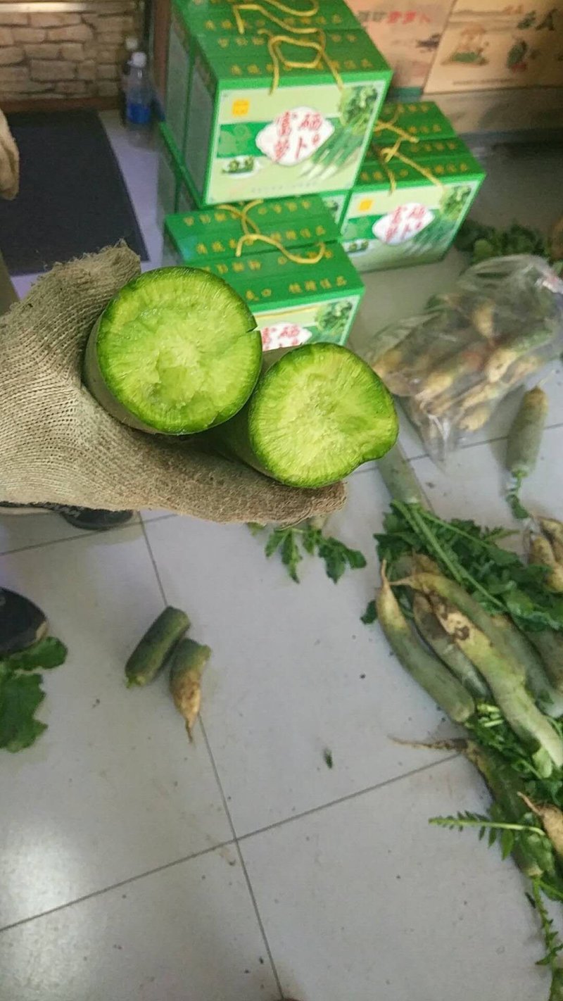 潍县萝卜，水果萝卜