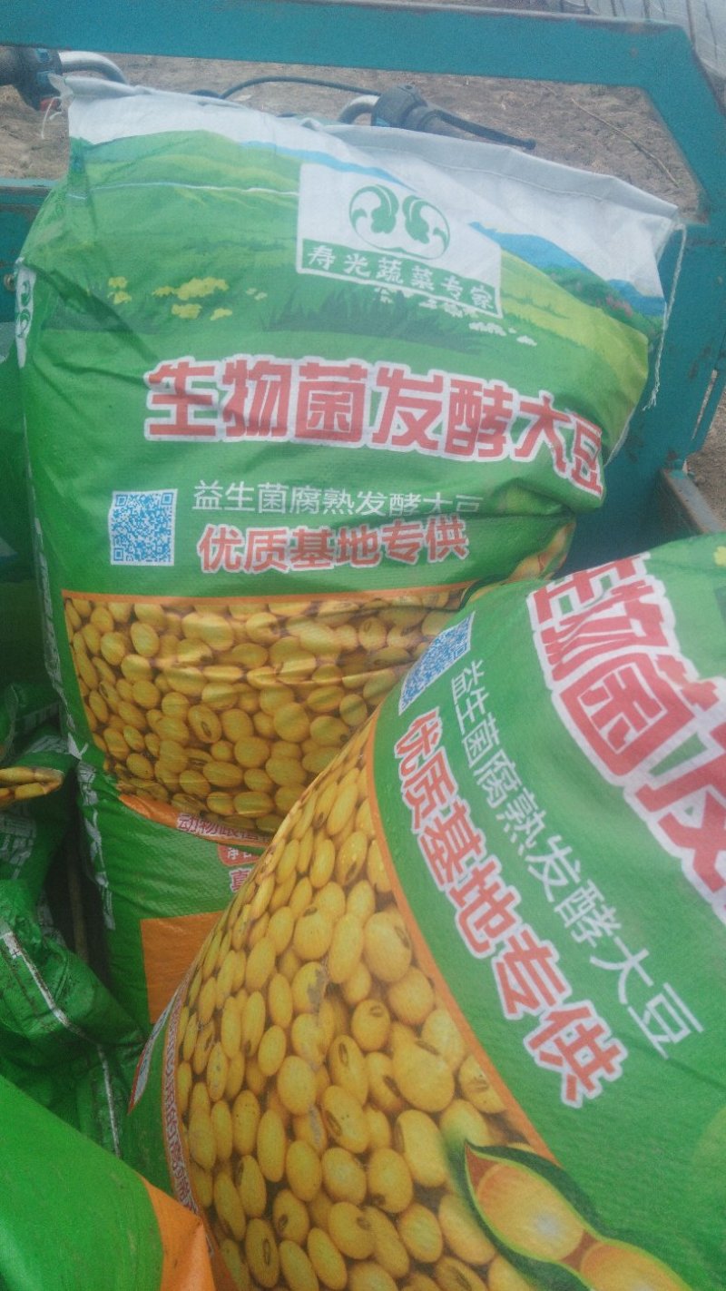 潍县萝卜，水果萝卜