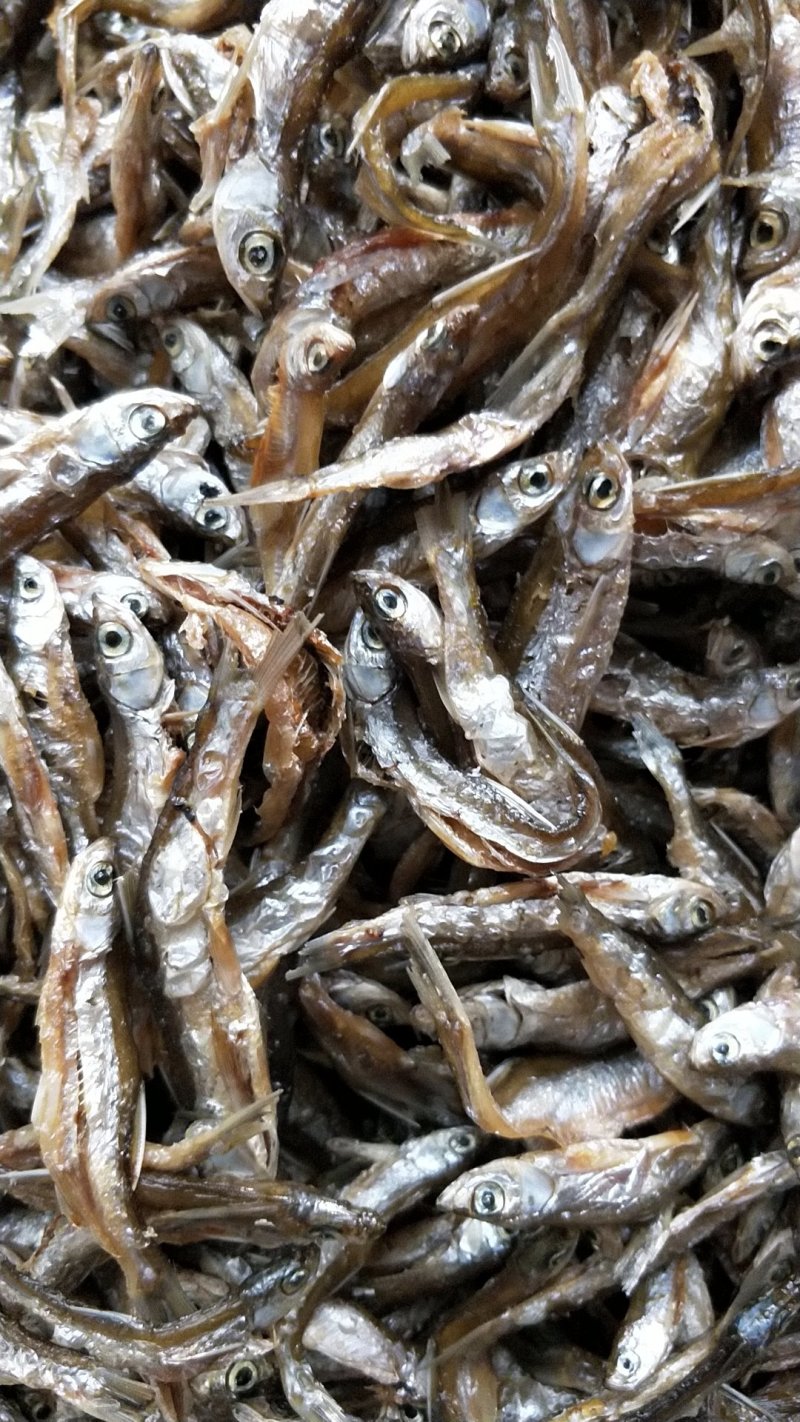 河鱼干