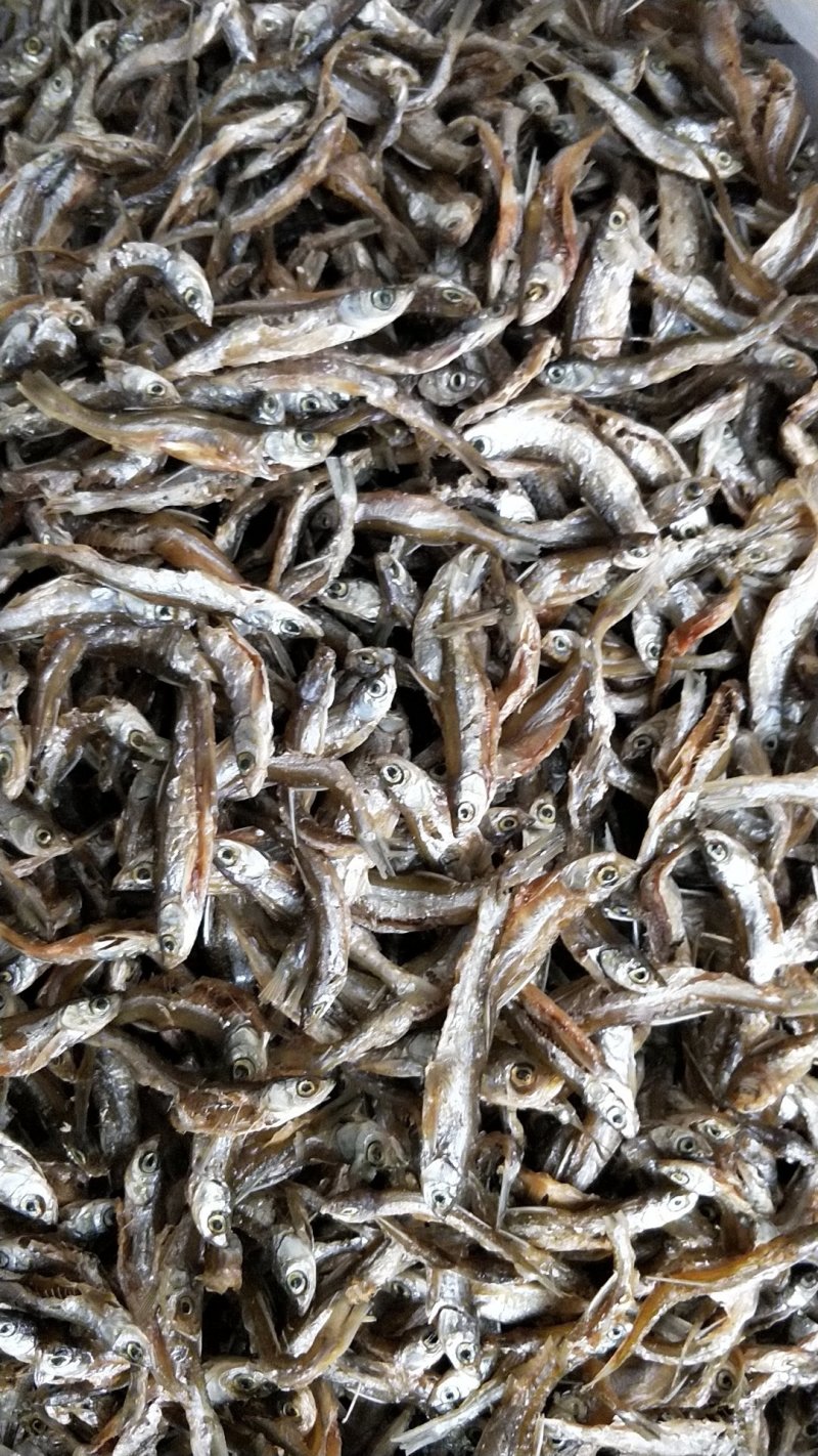 河鱼干