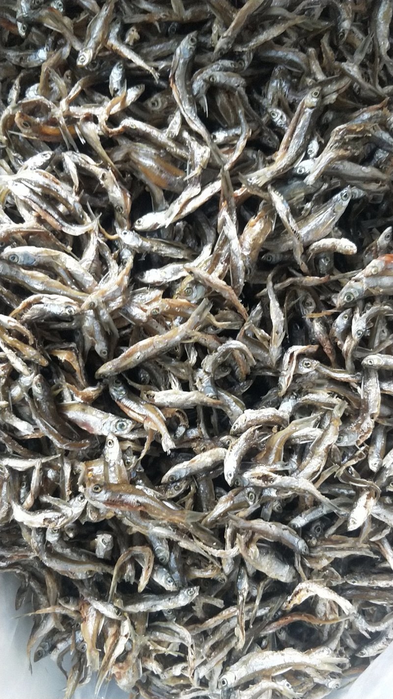 河鱼干