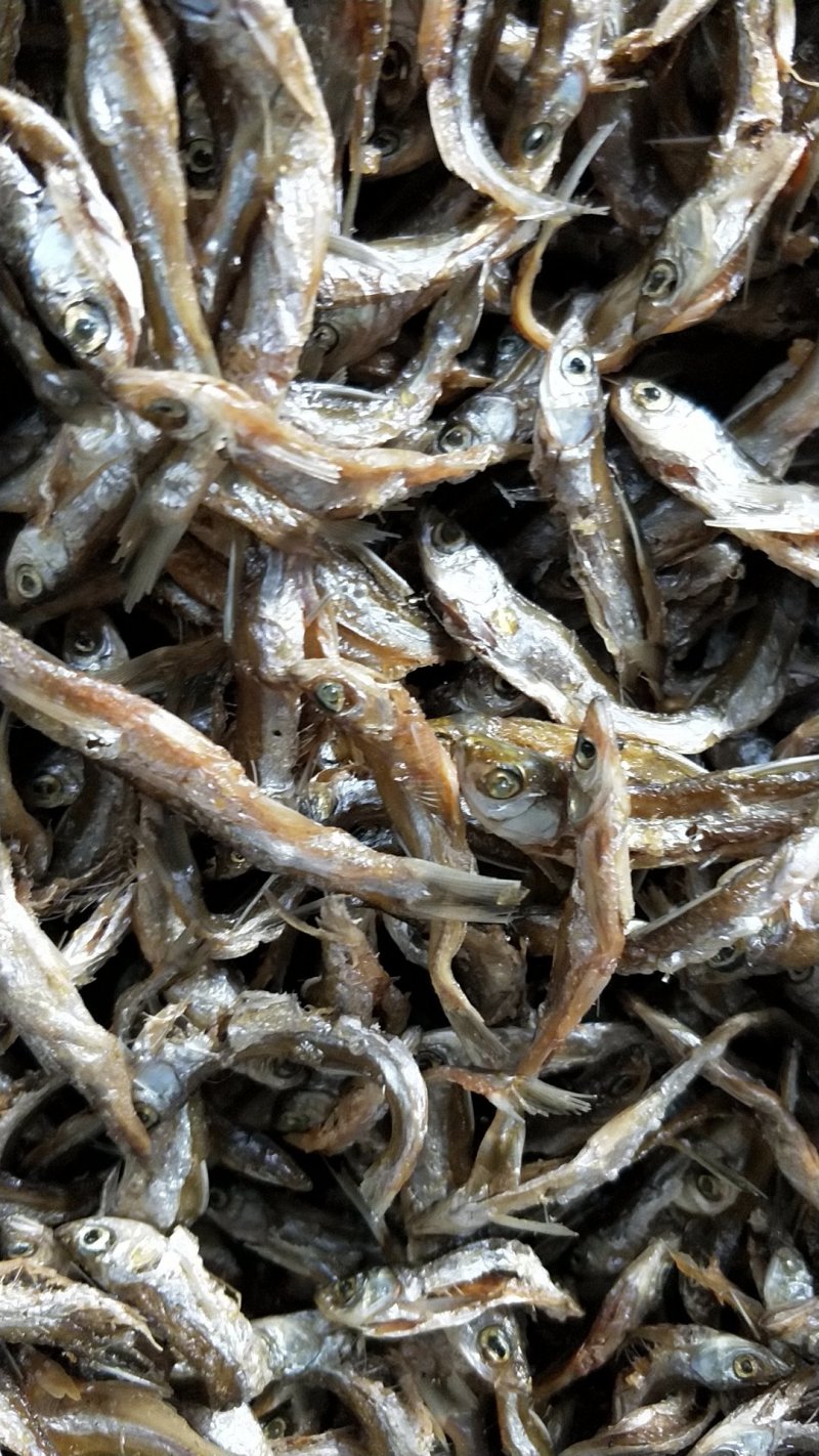 河鱼干