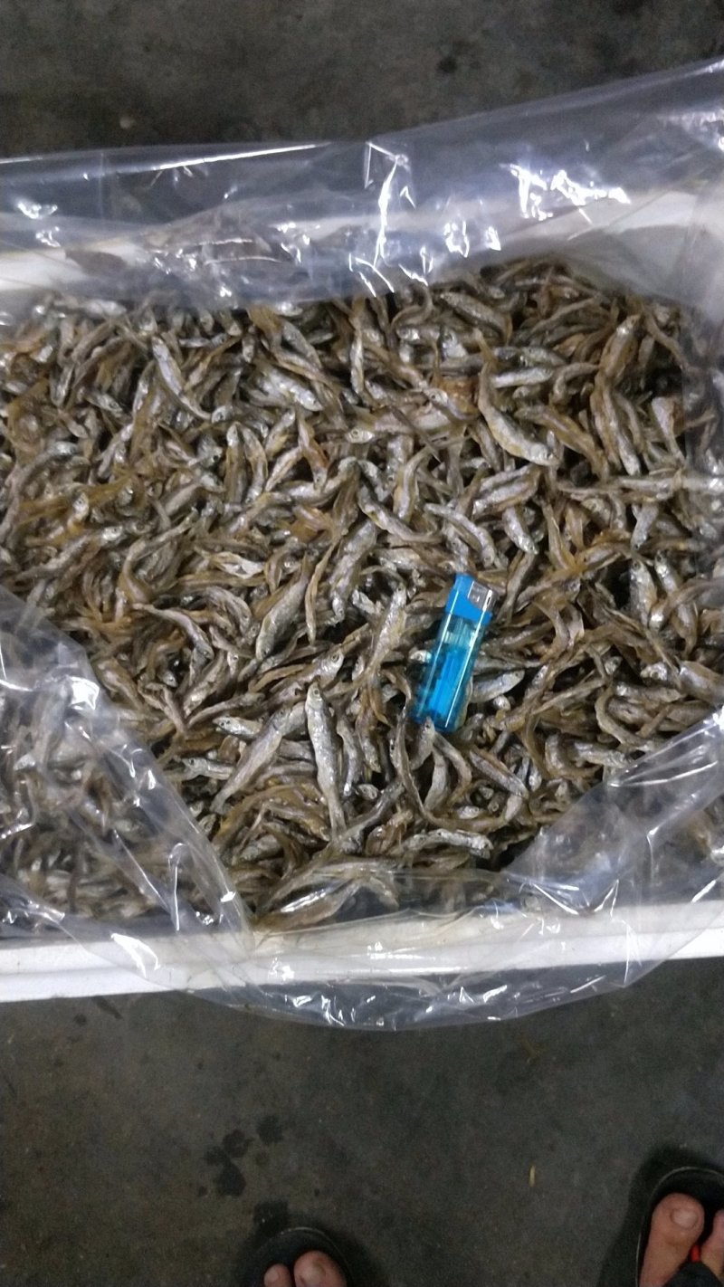 水产干货