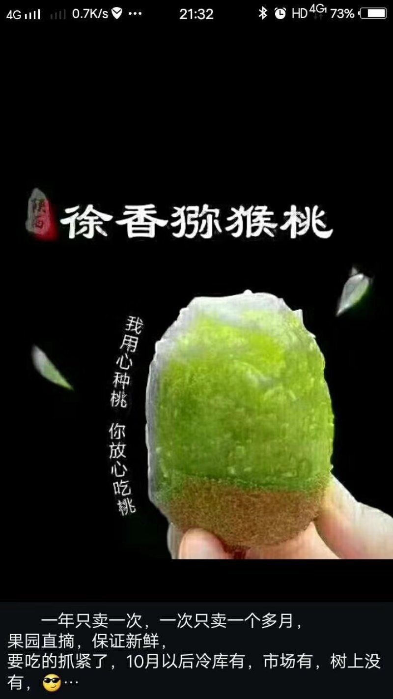 红阳猕猴桃树苗，软枣猕猴桃苗，黄金猕猴桃树苗