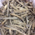 沙虫进口大号500g