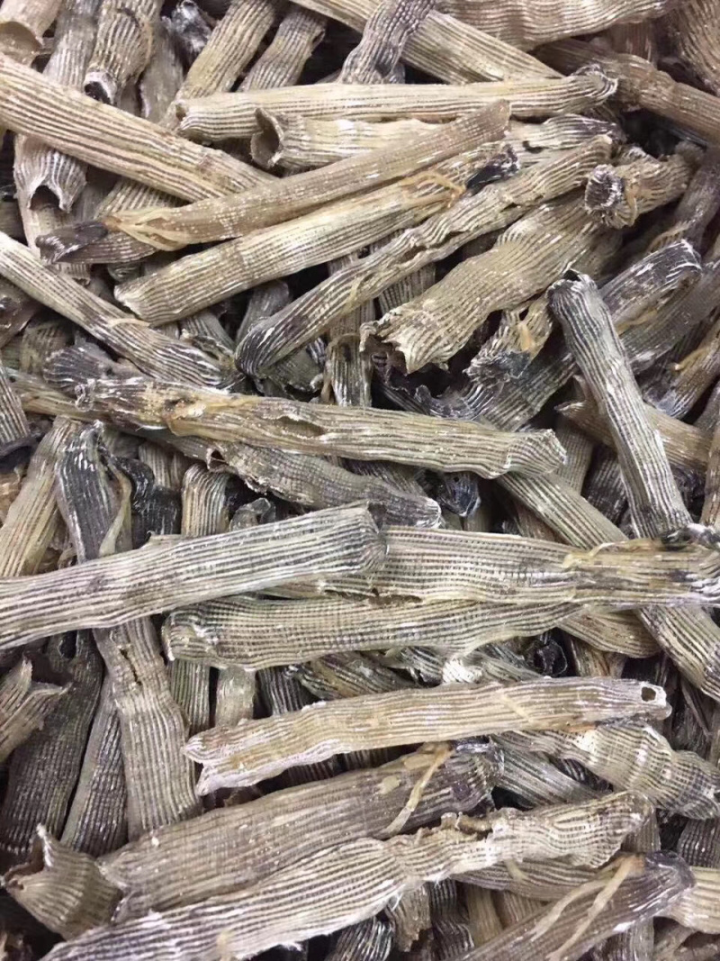 沙虫进口大号500g