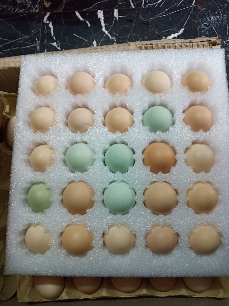 正宗散养土鸡蛋一件代发，包邮