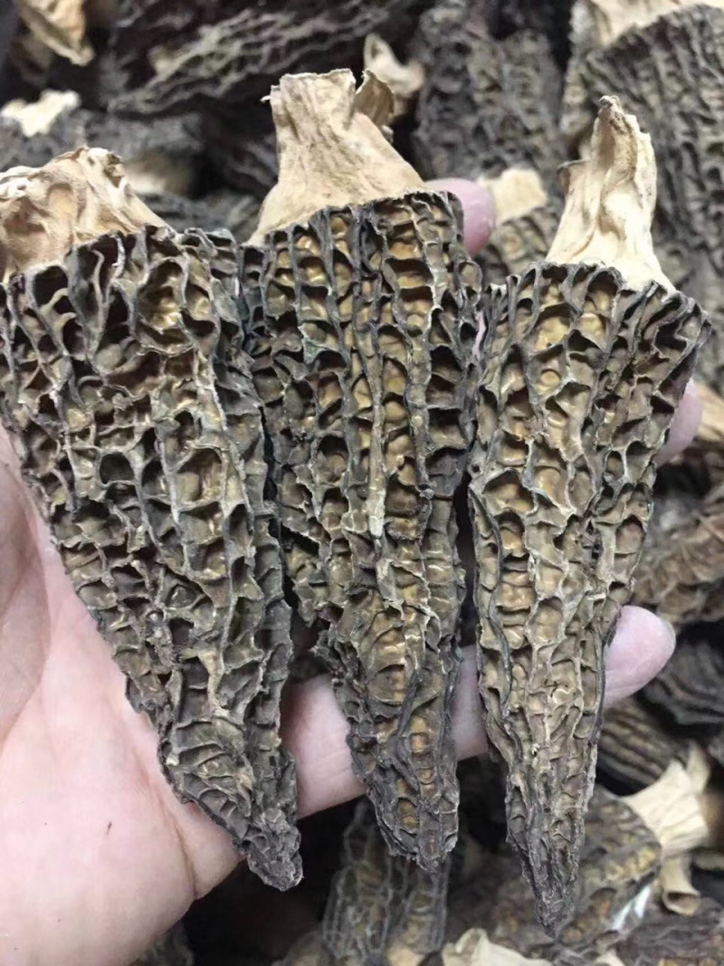 羊肚菌500克