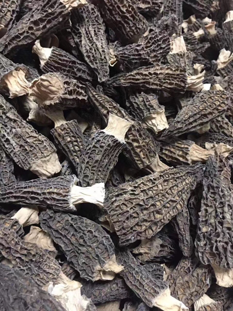 羊肚菌500克