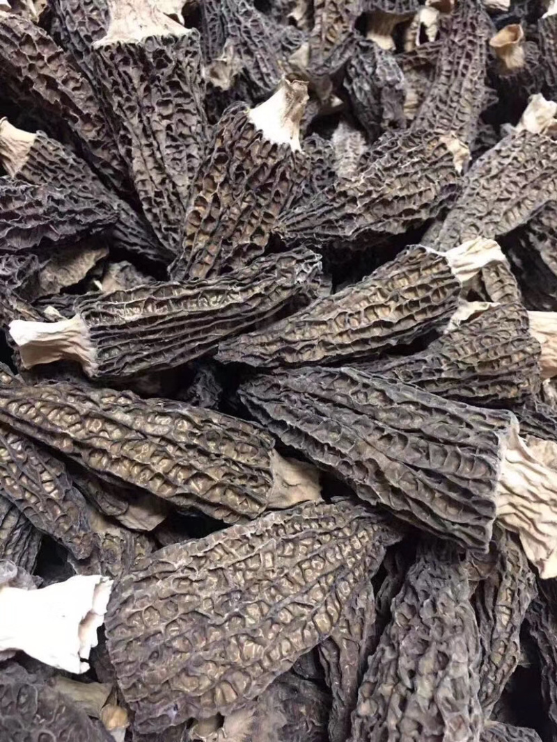 羊肚菌500克