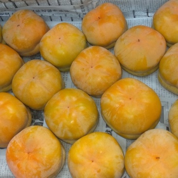 山区大柿子
