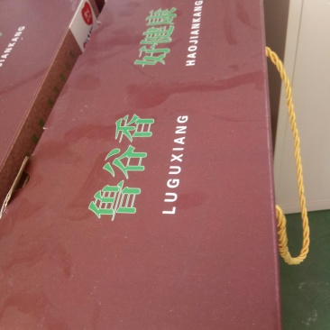 杂粮粉
