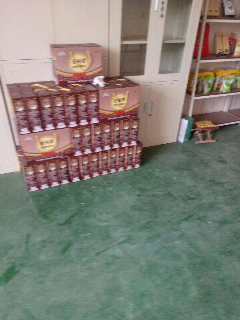 杂粮粉
