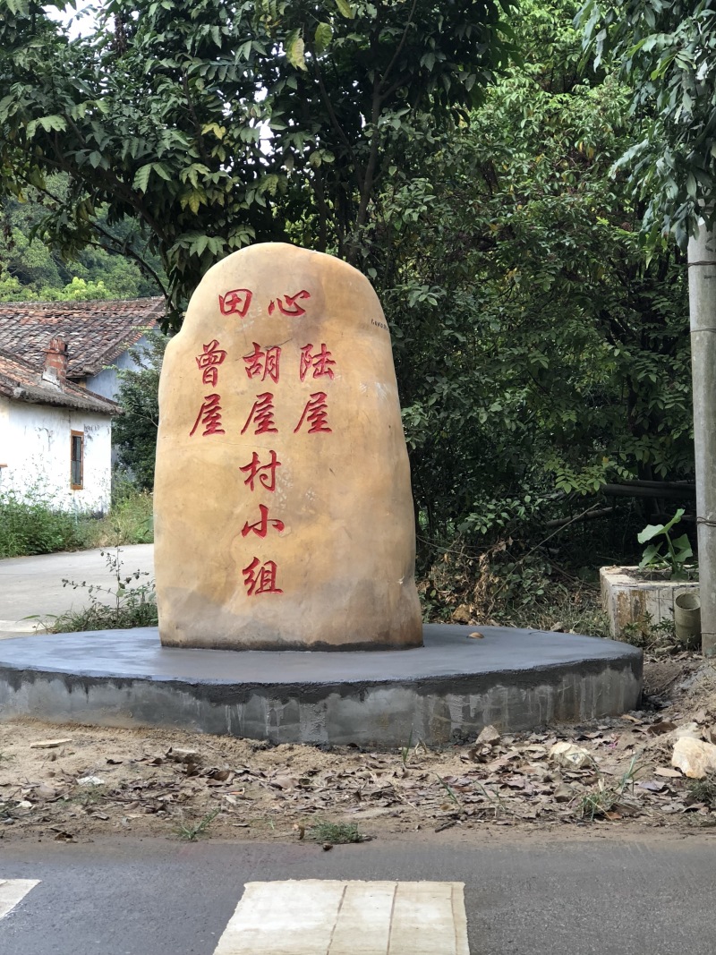 台湾香蜜杨桃