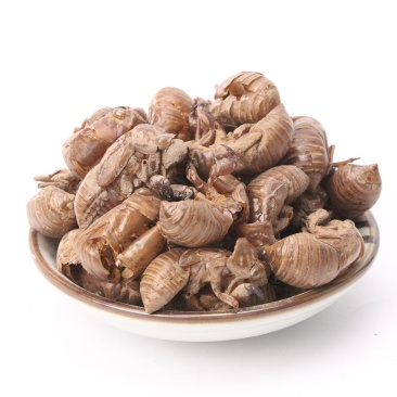 蝉蜕蝉蜕皮产地直销量大从优