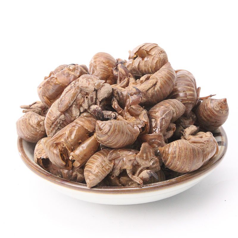 蝉蜕蝉蜕皮产地直销量大从优