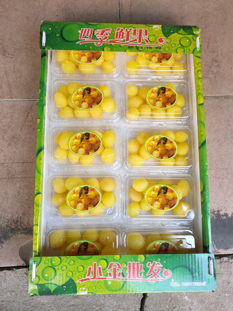 黄金果，金西梅，网红产品，四季鲜果厂家直供联系下单