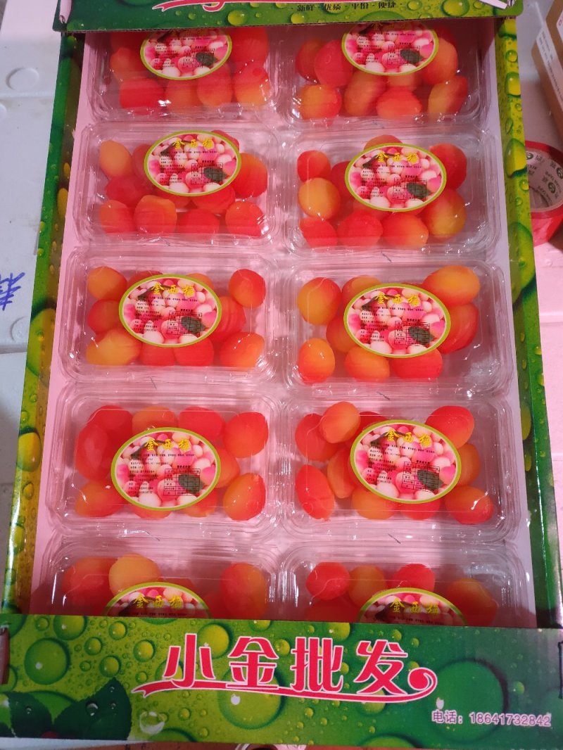 黄金果，金西梅，网红产品，四季鲜果厂家直供联系下单