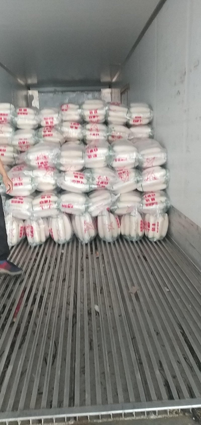热销湖北优质白萝卜水洗预冷基地直发保质保量！