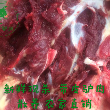 新鲜驴肉现杀驴肉带皮驴肉驴排骨肉驴散养农户产品