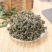 绞股蓝草药产地直销量大从优