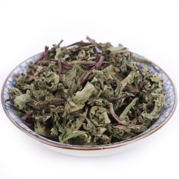 薄荷产地直销量大从优