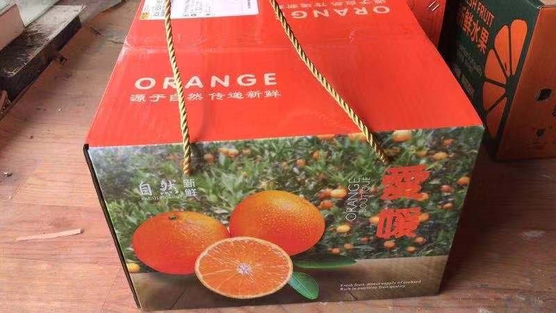 云南蜜桔