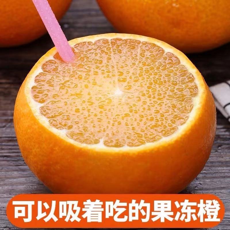 云南蜜桔