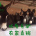 卤肉熟驴肉熟驴头驴鞭驴踢新鲜驴肉现杀驴肉驴心驴肝
