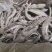 清水鱼皮，质量好，价格低，罗非鱼原料，，，，