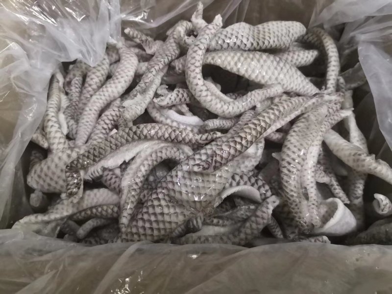 清水鱼皮，质量好，价格低，罗非鱼原料，，，，
