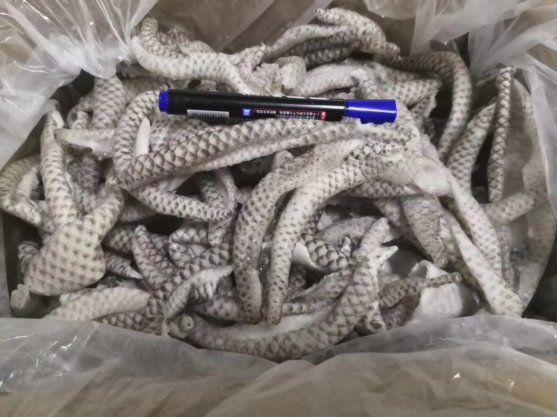 清水鱼皮，质量好，价格低，罗非鱼原料，，，，