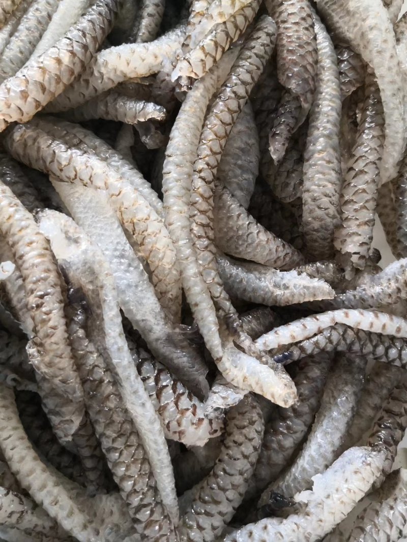 清水鱼皮，质量好，价格低，罗非鱼原料，，，，