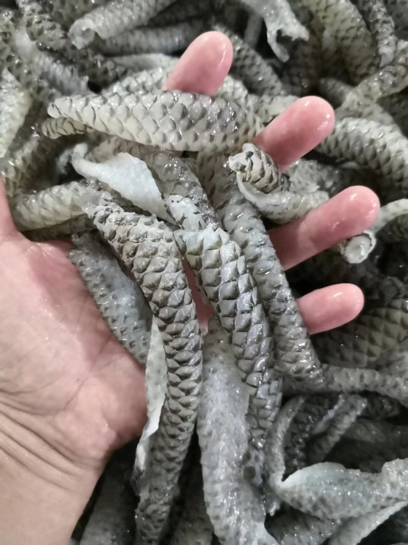 清水鱼皮，质量好，价格低，罗非鱼原料，，，，