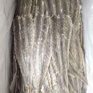 烧烤鳗鱼长期有货欢迎合作保质保量量大优惠