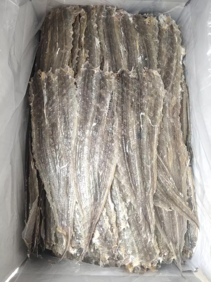 烧烤鳗鱼长期有货欢迎合作保质保量量大优惠