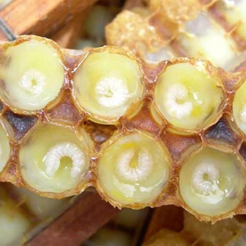 【野生蜂蜜蜂王浆】批发零售一件代发，蜂皇浆品质保证
