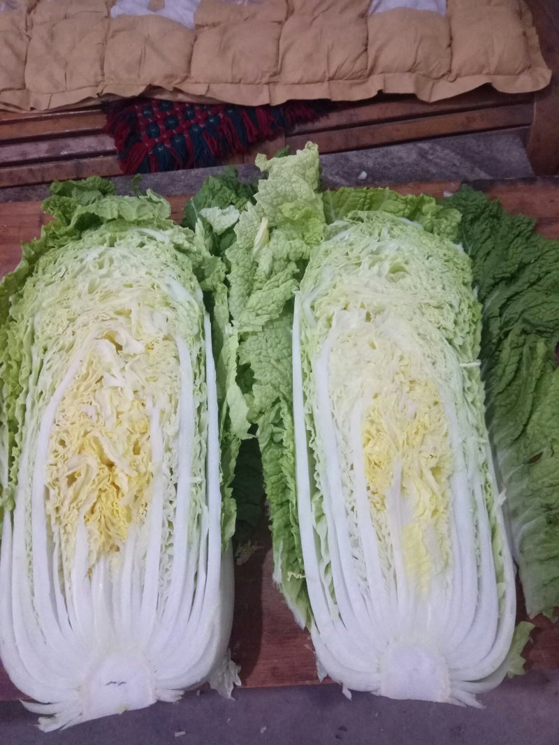 大白菜开始上市了，下单要快，无虫眼，无烧心