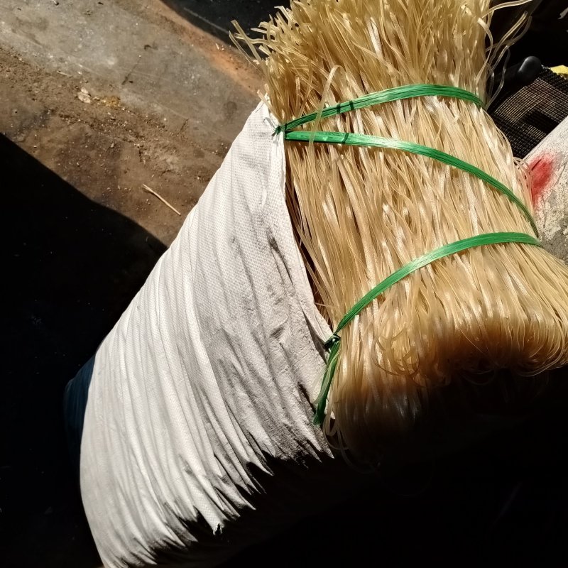 手工长扁粉。长期一年四季供应。供应超市酒店批发商。